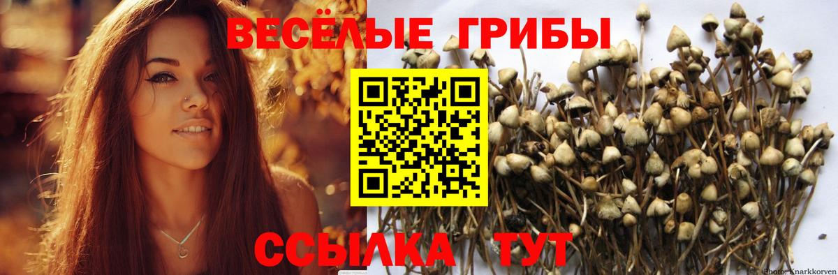 Псилоцибиновые грибы прущие грибы Елабуга