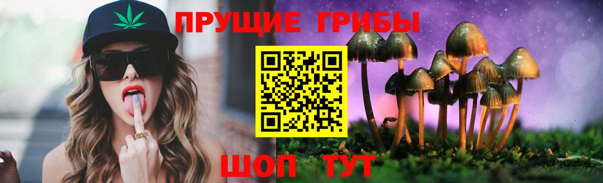 цена наркотик  Псилоцибиновые грибы MAGIC MUSHROOMS  Вход с VPN  Елабуга 